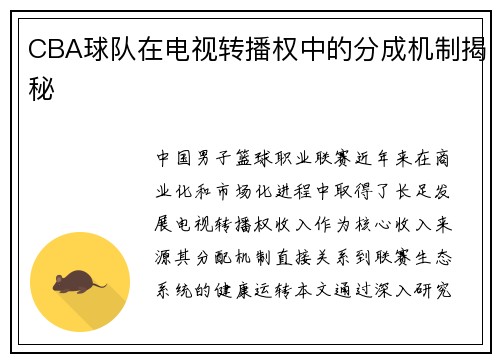 CBA球队在电视转播权中的分成机制揭秘