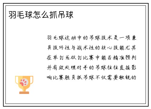 羽毛球怎么抓吊球